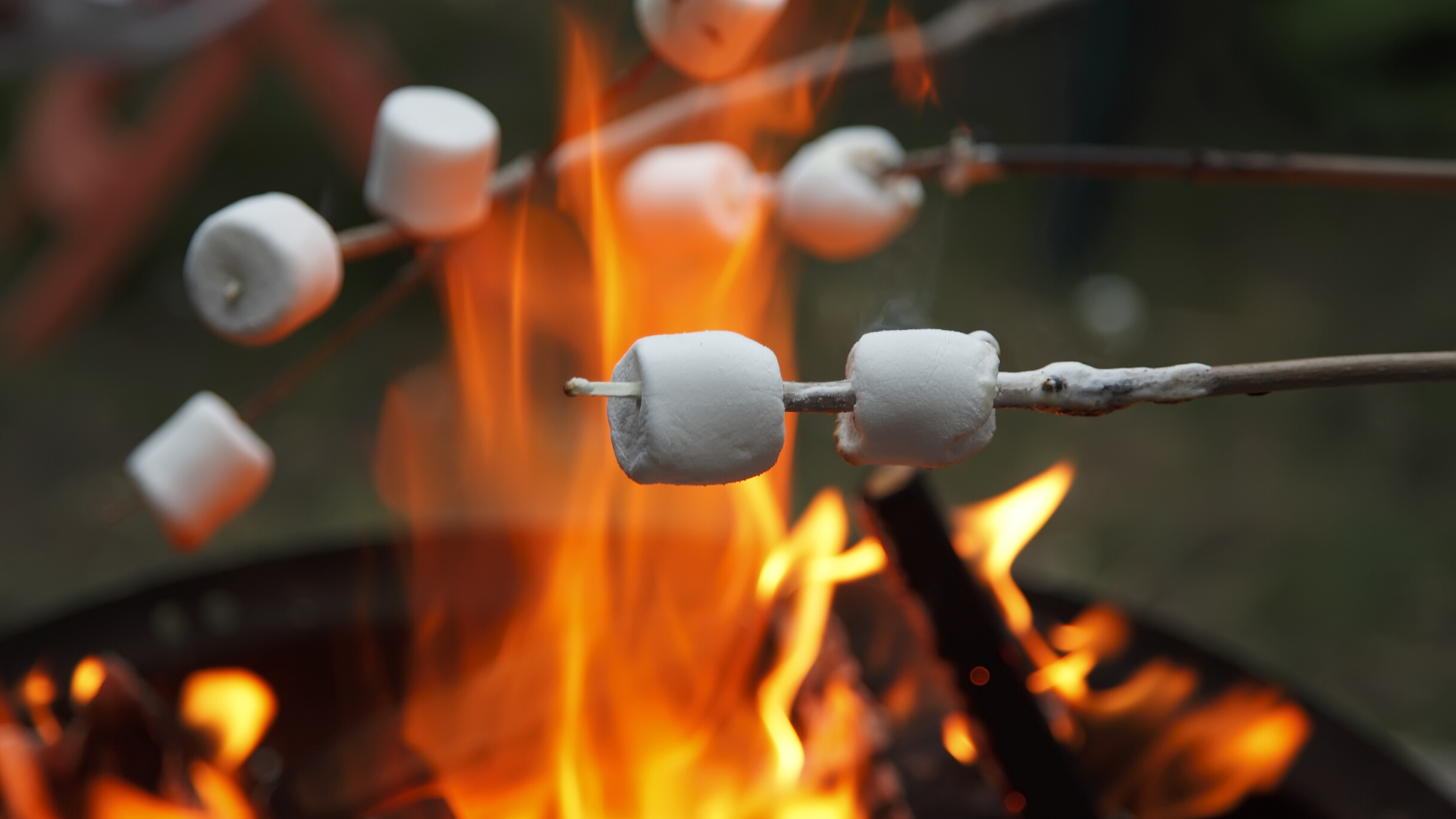 Campfires are Good for Our Health? Break Out the Marshmallows!